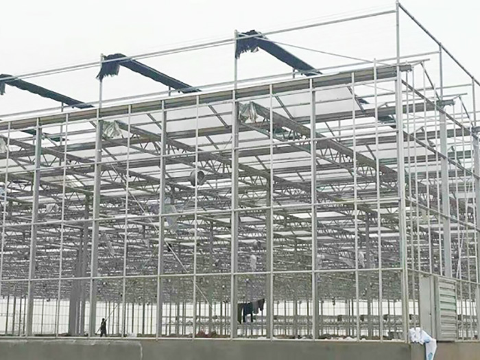 工程案例-青州市泽源农业科技有限公司