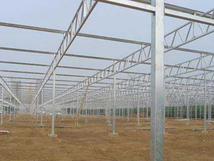 工程案例-青州市泽源农业科技有限公司