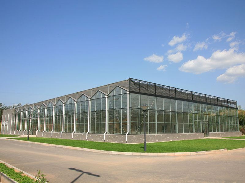 文洛型玻璃温室4.1.jpg